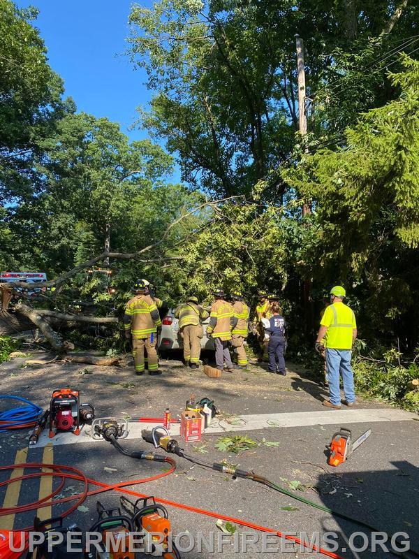 Driver Rescued After Tree Falls on Car - Upper Merion Township Fire And ...