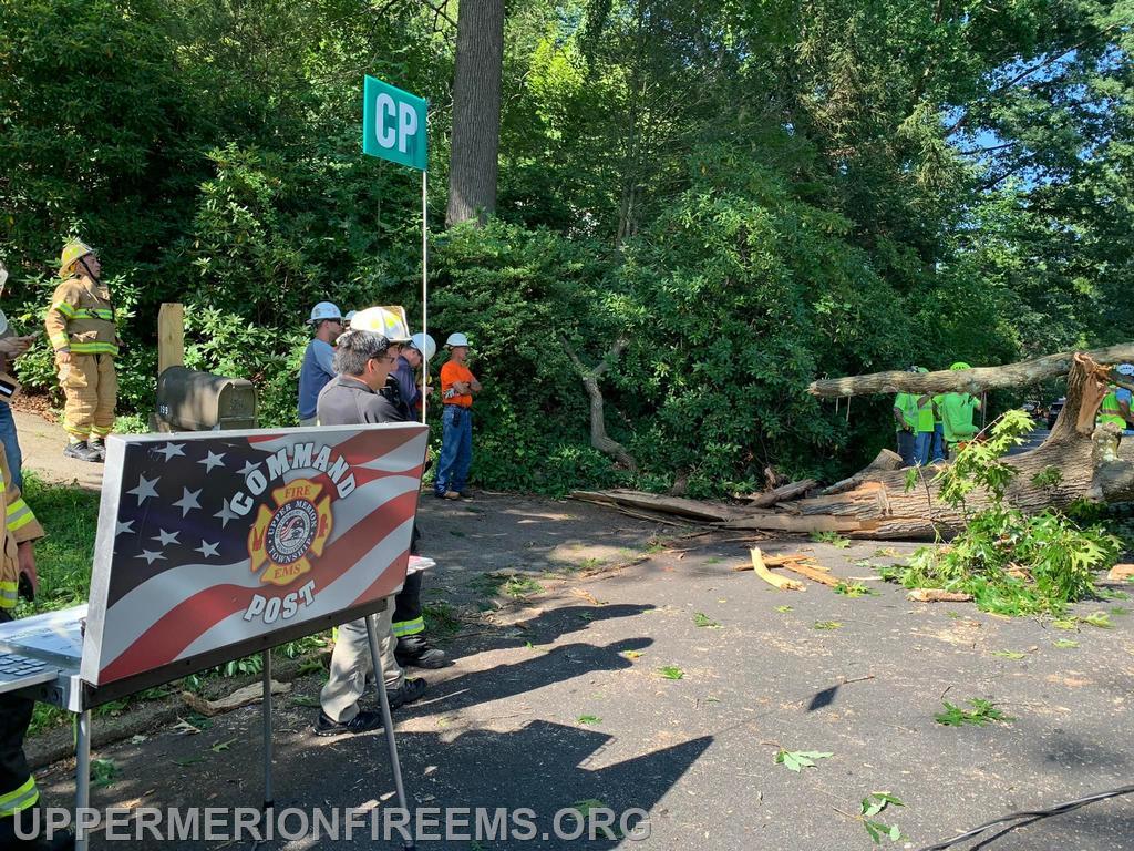 Driver Rescued After Tree Falls on Car - Upper Merion Township Fire And ...